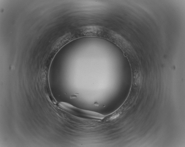 X0000085320753200703091511