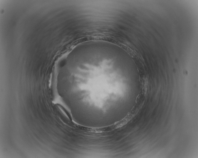 X0000085320760200703091511