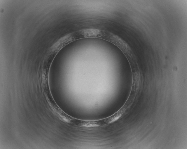 X0000085320761200703091511