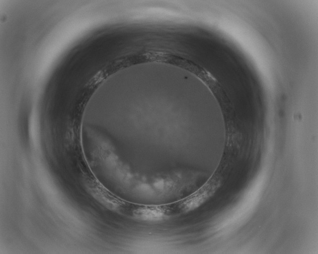 X0000085320765200703091511