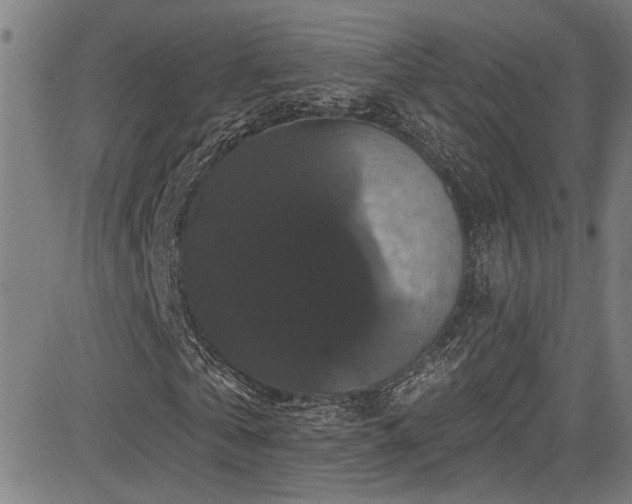 X0000085320769200703091510