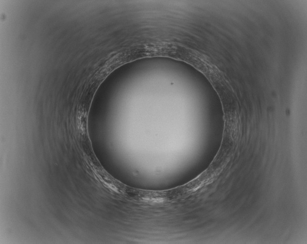 X0000085320770200703091510