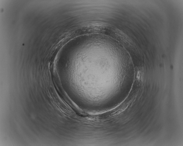 X0000085320771200703091510