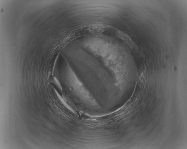 X0000085320772200703091510