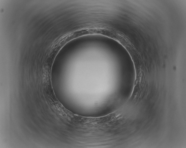 X0000085320773200703091510