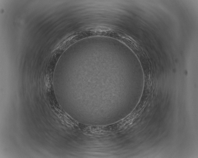 X0000085320774200703091510