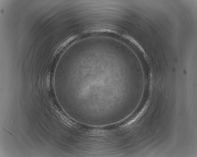 X0000085320777200703091510