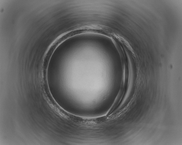 X0000085320784200703091510