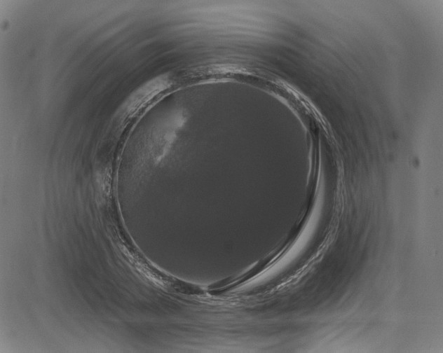 X0000085320785200703091510