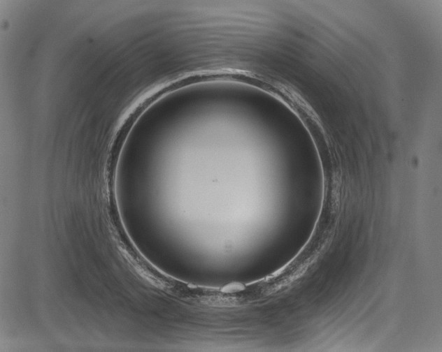 X0000085320789200703091510