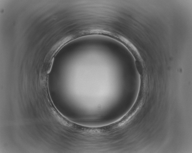 X0000085320801200703091510
