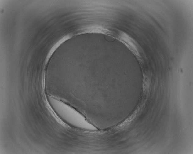 X0000085320804200703091510