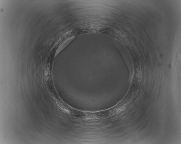 X0000085320818200703091509