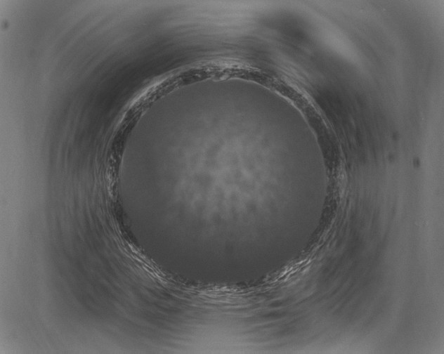 X0000085320823200703091509