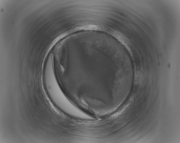 X0000085320845200703091509