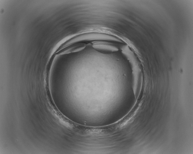 X0000085320846200703091509