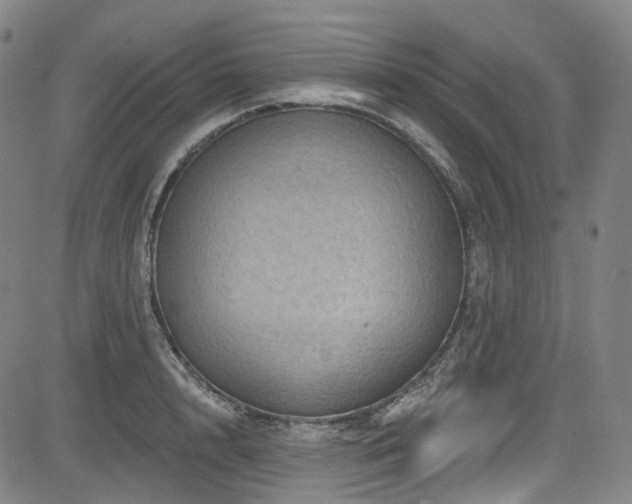 X0000085320848200703091509