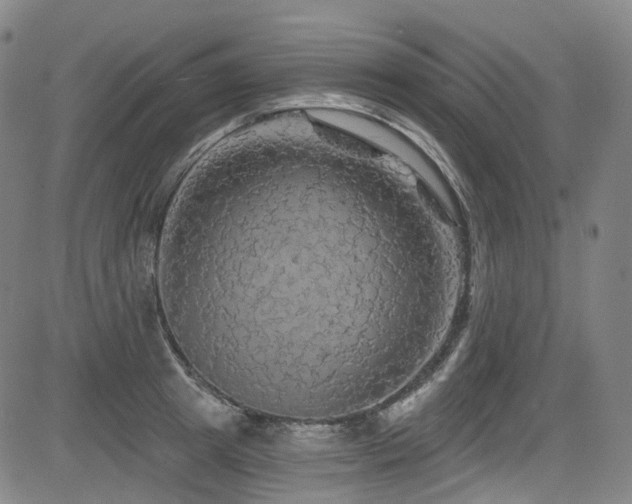 X0000085320849200703091509