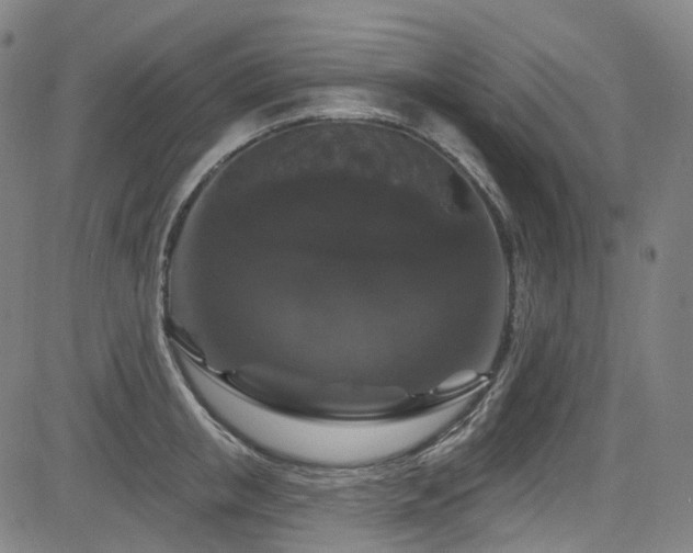 X0000085320853200703091509