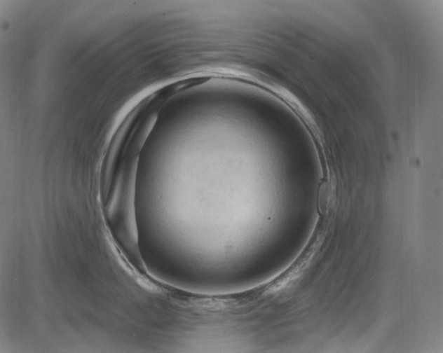 X0000085320862200703091510