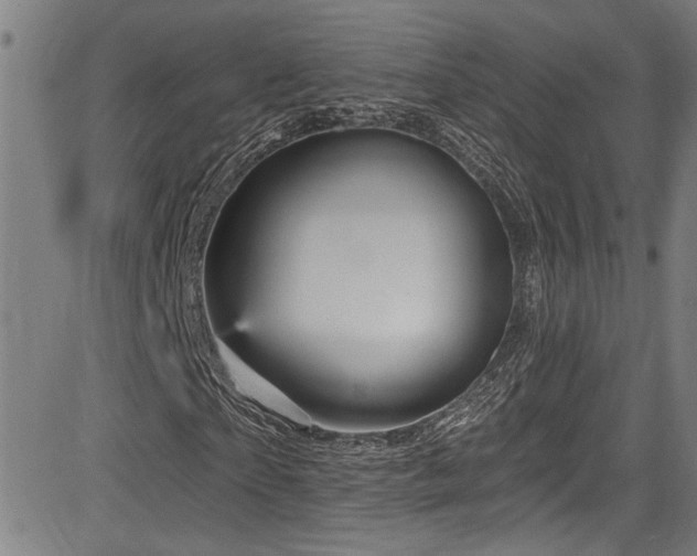 X0000085320865200703091509