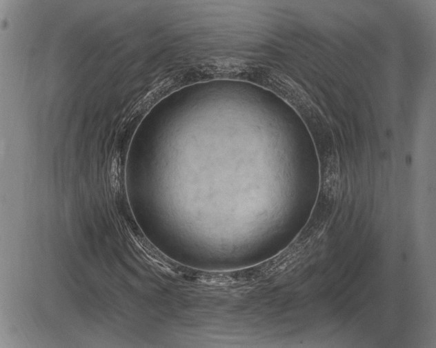 X0000085320866200703091509