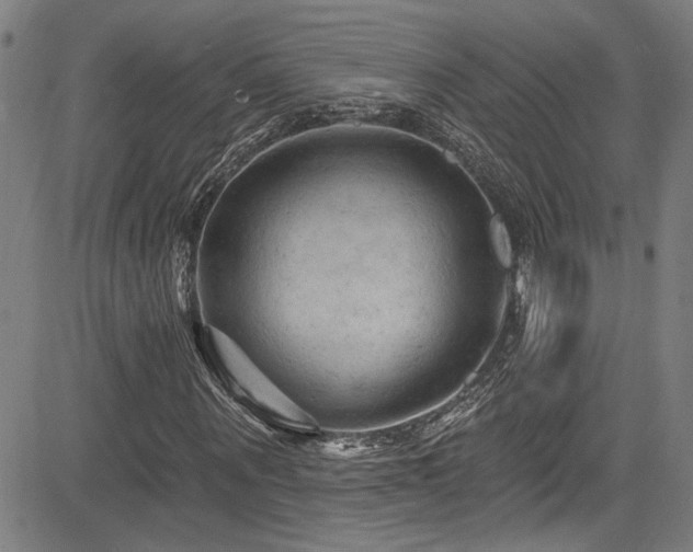 X0000085320867200703091509