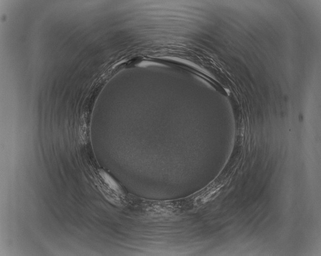 X0000085320868200703091509