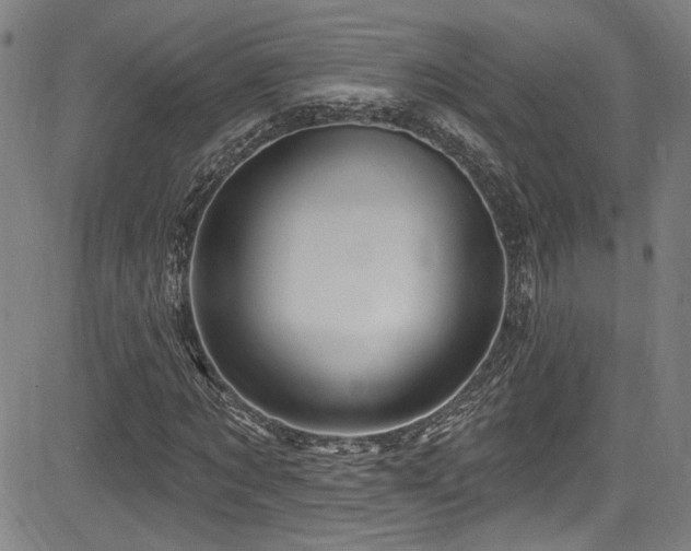 X0000085320869200703091509