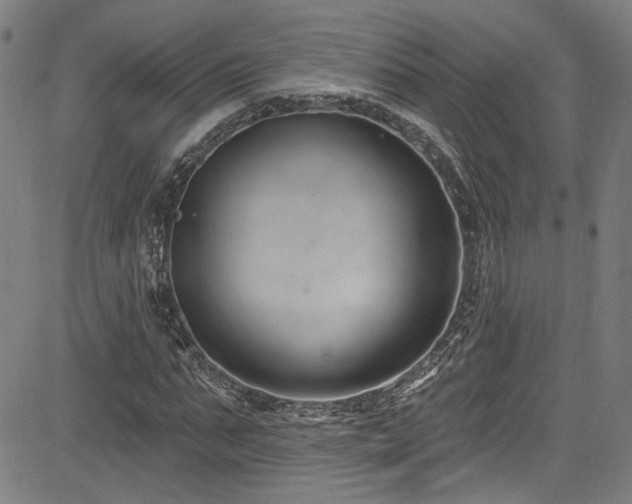 X0000085320871200703091509