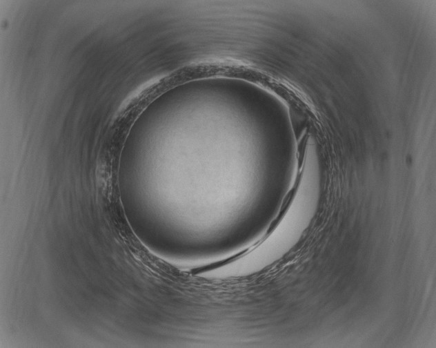 X0000085320872200703091509