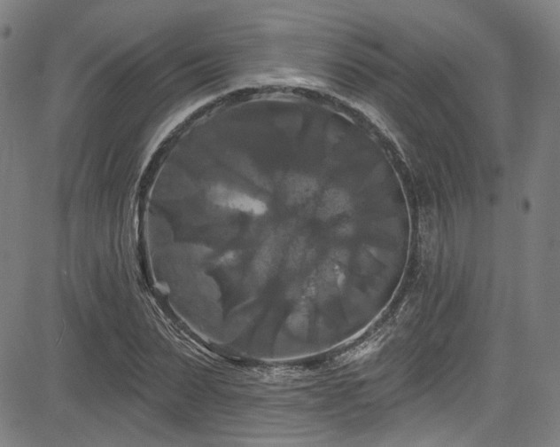 X0000085320879200703091509