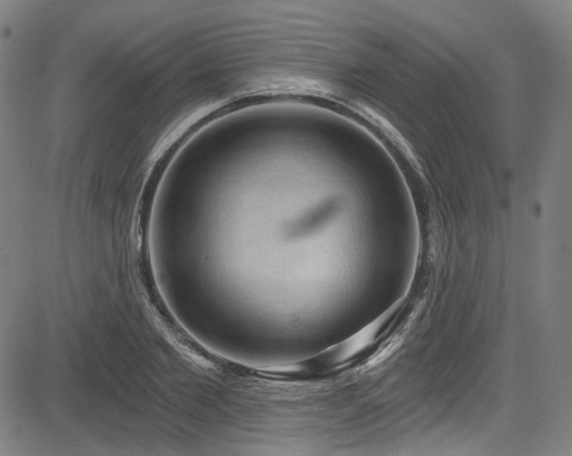 X0000085320885200703091508
