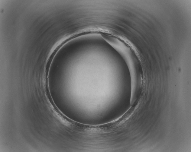 X0000085320894200703091508
