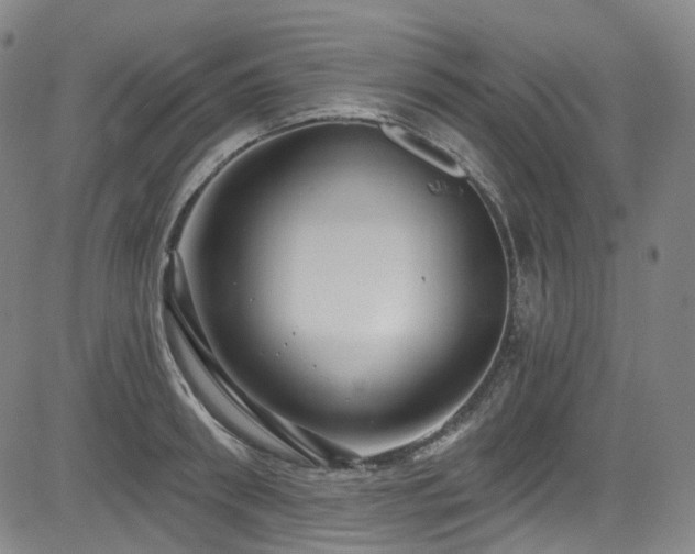 X0000085320898200703091508