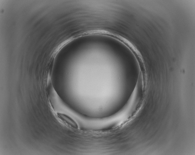 X0000085320905200703091508