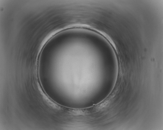 X0000085320911200703091508