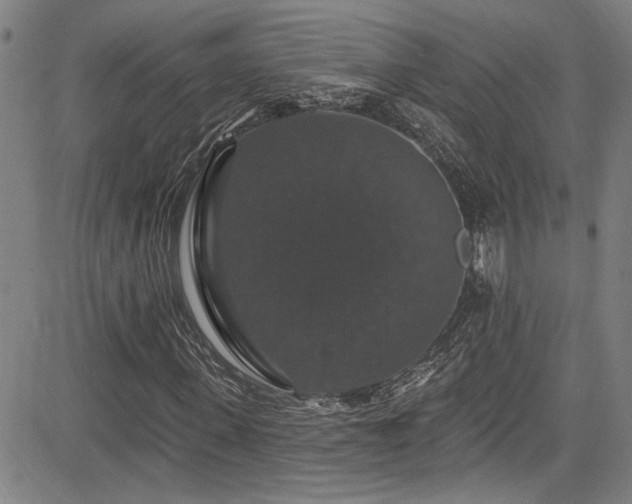X0000085320915200703091507