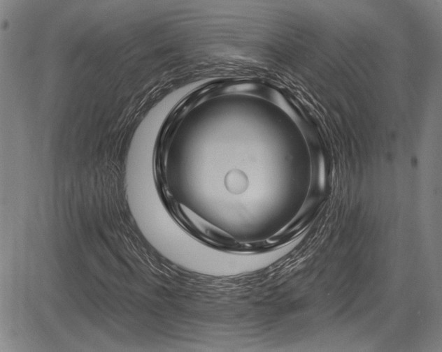 X0000085320916200703091507