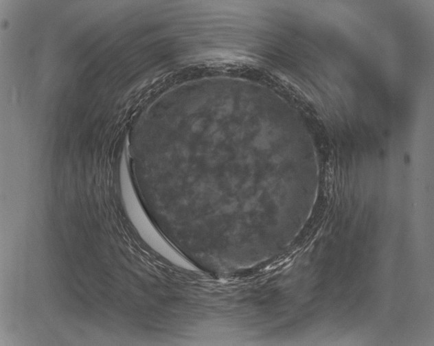X0000085320917200703091507