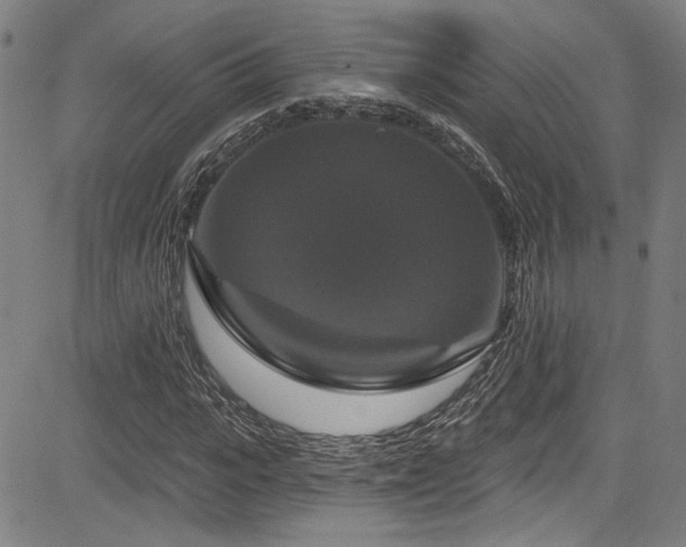 X0000085320919200703091507