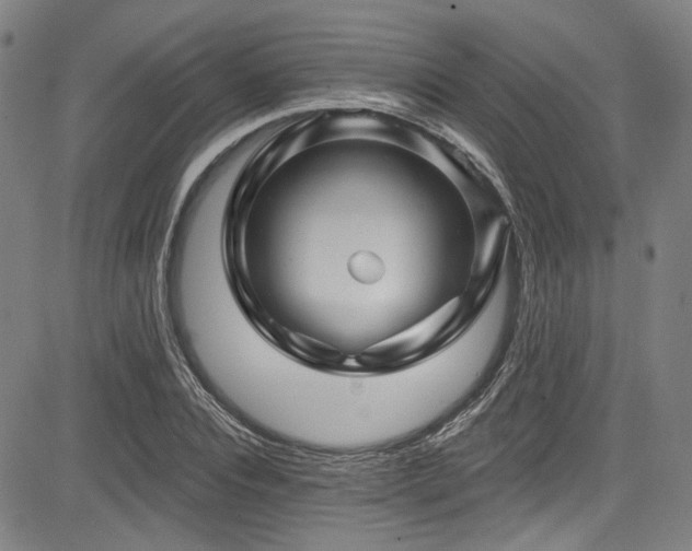 X0000085320928200703091507