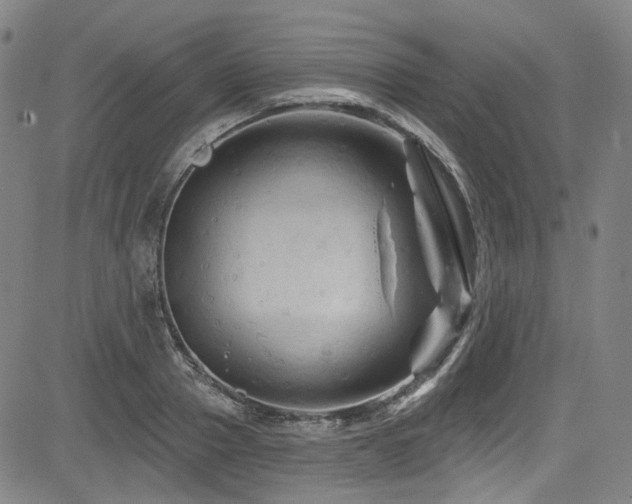 X0000085320937200703091508
