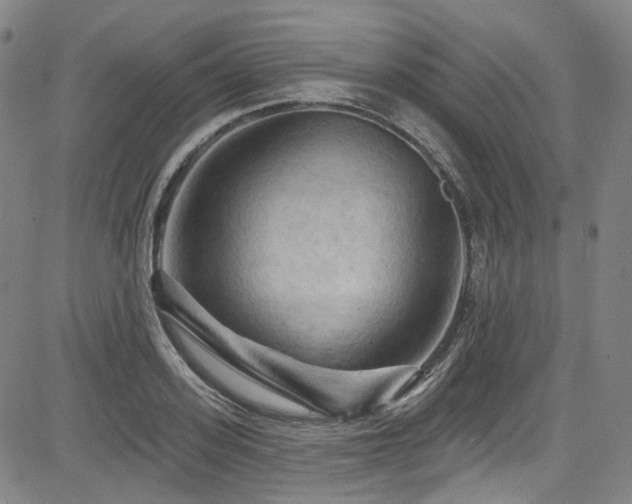 X0000085320939200703091508