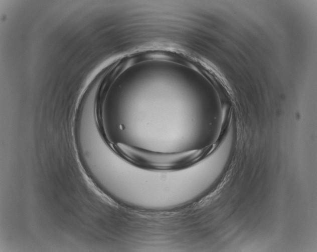 X0000085320942200703091508