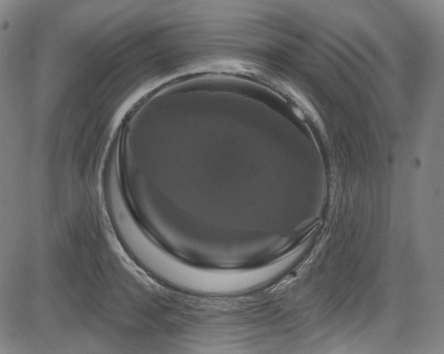 X0000085320944200703091508