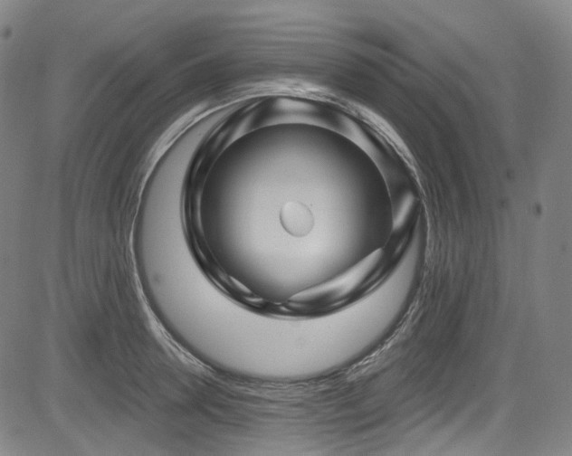 X0000085320946200703091508