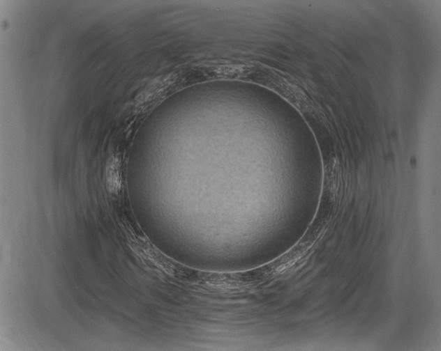 X0000085320962200703091507