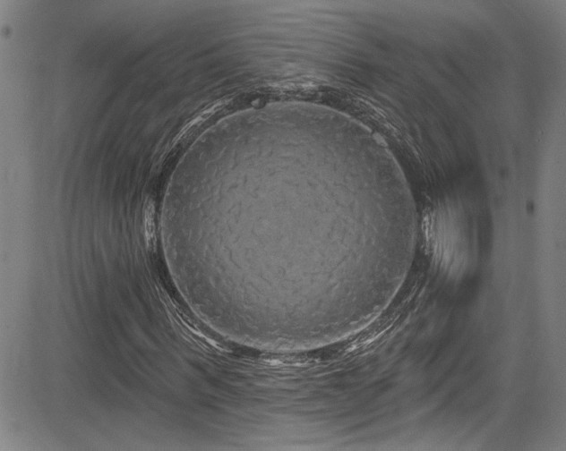 X0000085320963200703091507