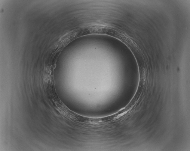 X0000085320964200703091507